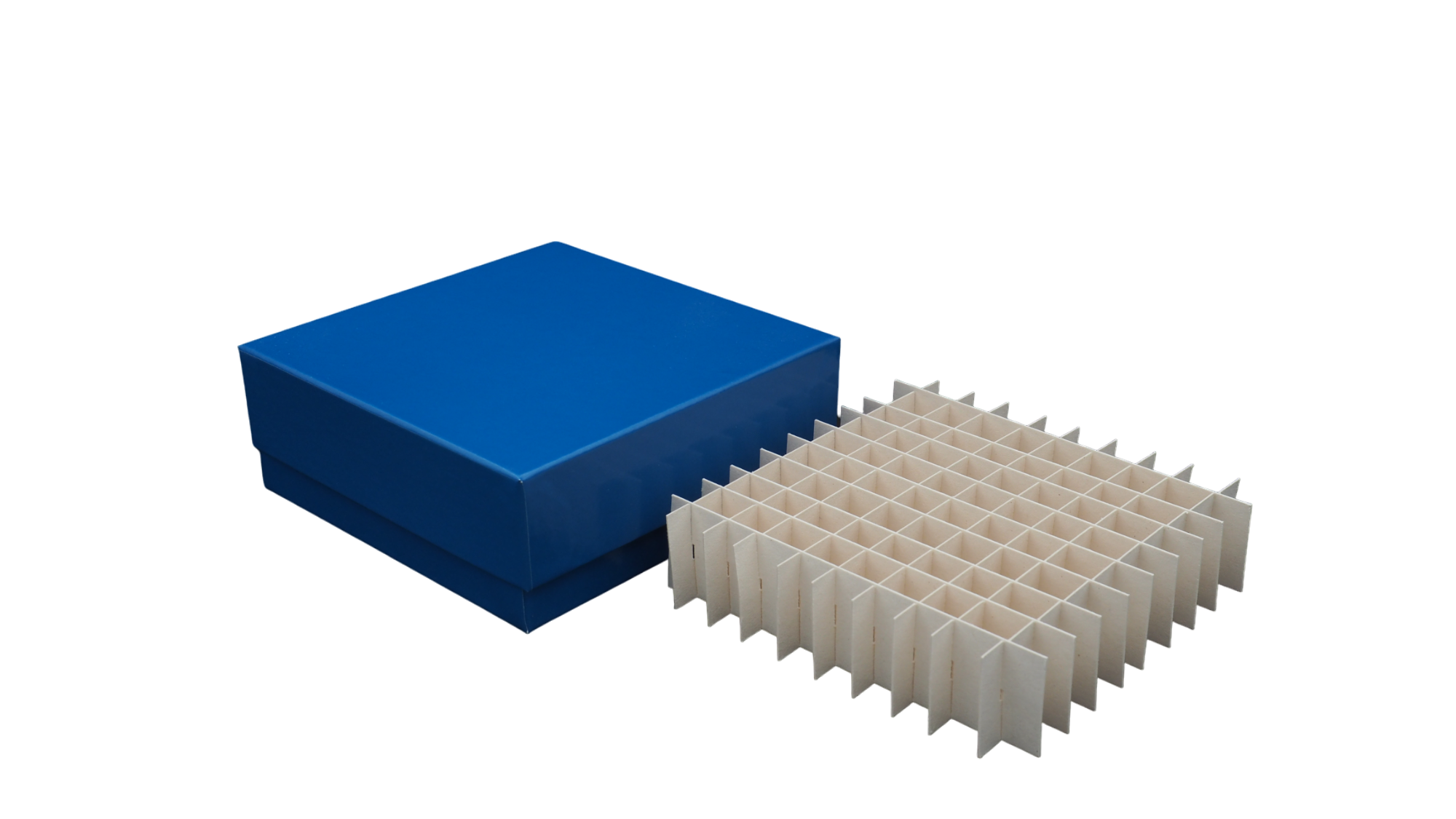 Kartonbox blau mit Rastereinsatz